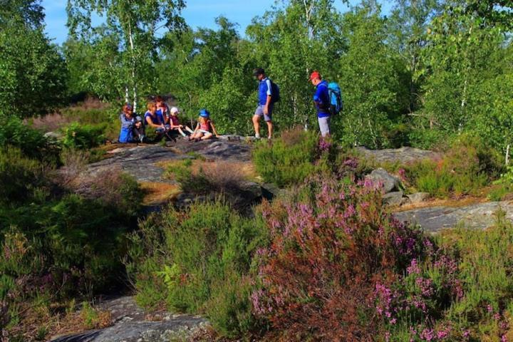 Camping Marvilla Parks -Parc Des Roches 91530 Saint-Cheron Bagian luar foto